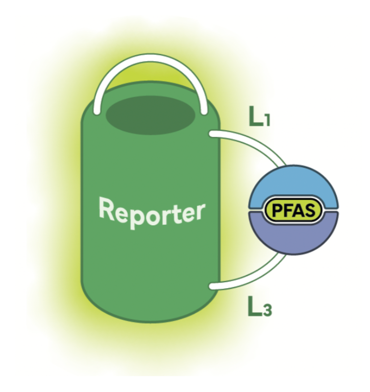 iGEM Project Reporter