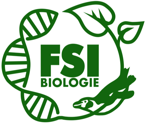FSI